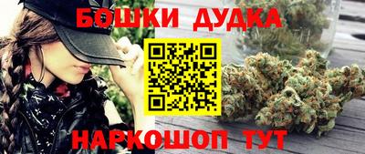 сатива Малгобек