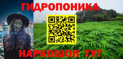 сатива Малгобек