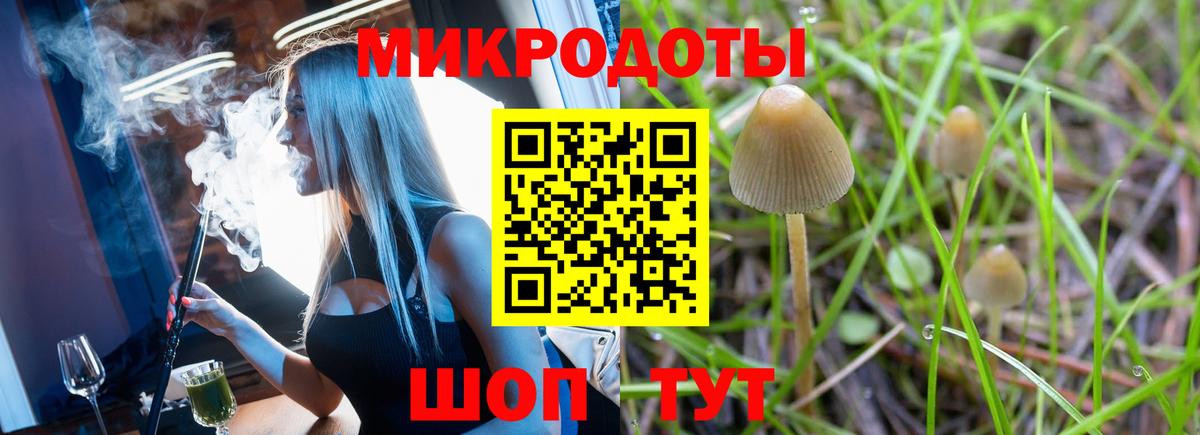 где продают наркотики  Псилоцибиновые грибы Cubensis  Вход с VPN  Чистополь 